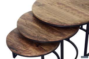 Table basse 'Arnod' set de 3 Bois de Manguier