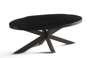 Table basse 'Madeira' Ovale Bois de Manguier noir