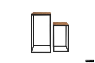 Table d'appoint 'Madeira' set de 2 Bois de Manguier