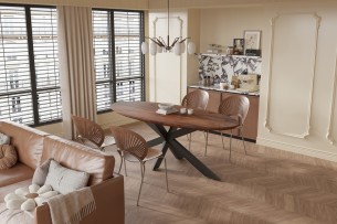 Table 'Tommy' 220x100 cm Ovale Spider-Pied Bois de Manguier Brun